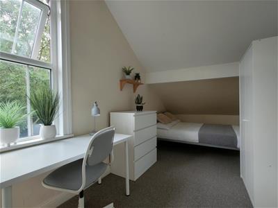 Picture 9